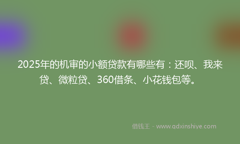 2025年的机审的小额贷款有哪些有：还呗、我来贷、微粒贷、360借条、小花钱包等。