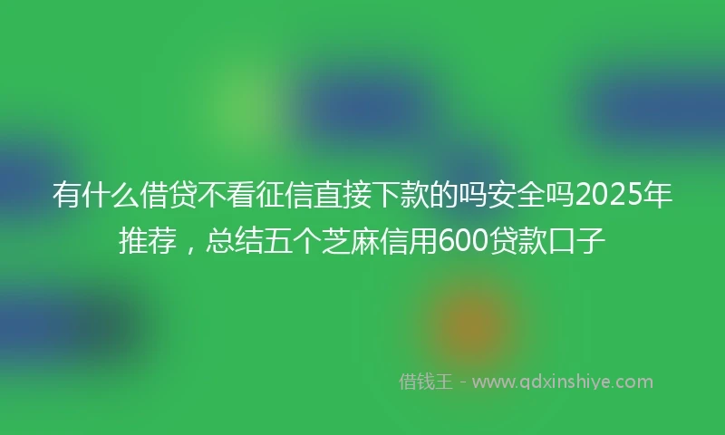 有什么借贷不看征信直接下款的吗安全吗2025年推荐,总结五个芝麻信用600贷款口子
