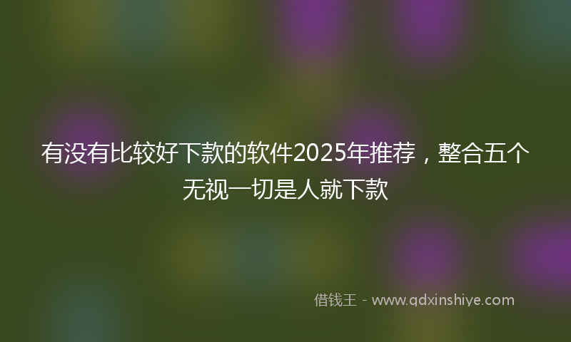 有没有比较好下款的软件2025年推荐，整合五个无视一切是人就下款