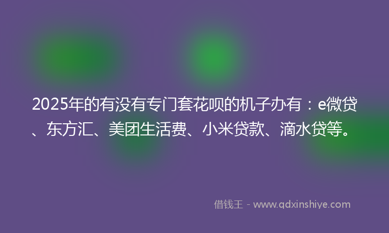 2025年的有没有专门套花呗的机子办有：e微贷、东方汇、美团生活费、小米贷款、滴水贷等。