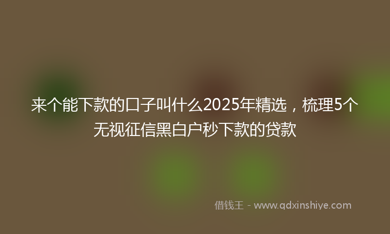 来个能下款的口子叫什么2025年精选，梳理5个无视征信黑白户秒下款的贷款