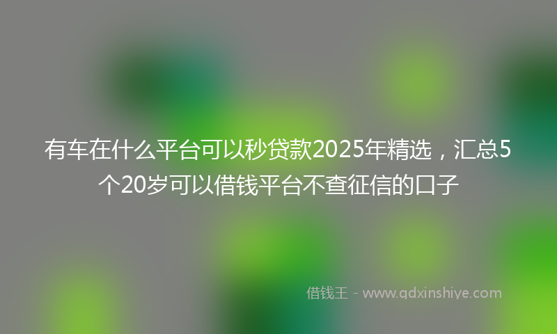 有车在什么平台可以秒贷款2025年精选，汇总5个20岁可以借钱平台不查征信的口子
