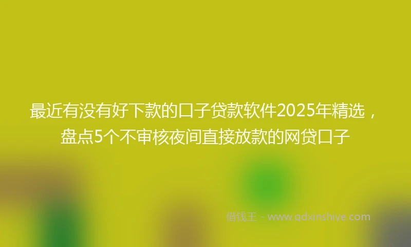 最近有没有好下款的口子贷款软件2025年精选，盘点5个不审核夜间直接放款的网贷口子