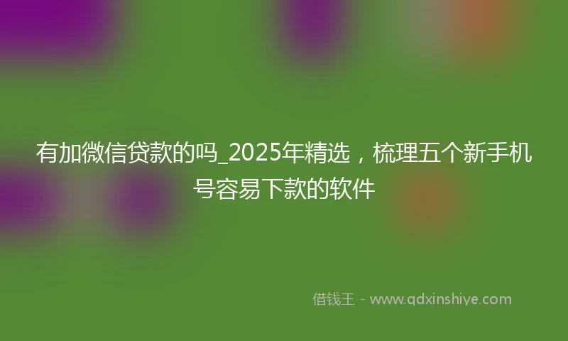 有加微信贷款的吗_2025年精选，梳理五个新手机号容易下款的软件