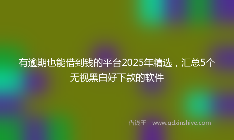有逾期也能借到钱的平台2025年精选，汇总5个无视黑白好下款的软件