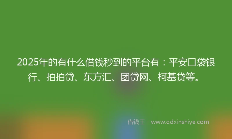 2025年的有什么借钱秒到的平台有：平安口袋银行、拍拍贷、东方汇、团贷网、柯基贷等。