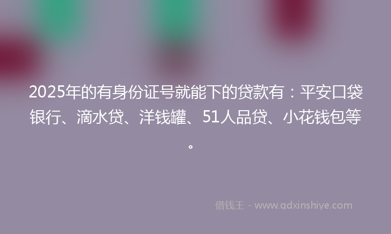 2025年的有身份证号就能下的贷款有：平安口袋银行、滴水贷、洋钱罐、51人品贷、小花钱包等。