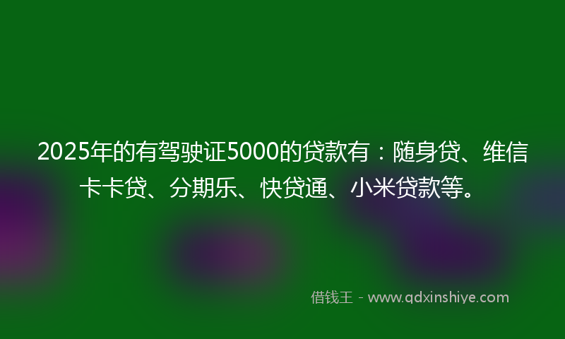 2025年的有驾驶证5000的贷款有：随身贷、维信卡卡贷、分期乐、快贷通、小米贷款等。