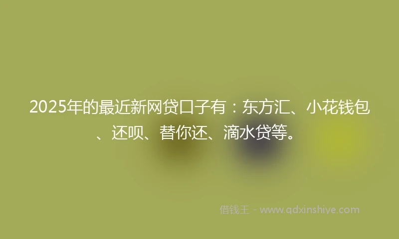2025年的最近新网贷口子有：东方汇、小花钱包、还呗、替你还、滴水贷等。