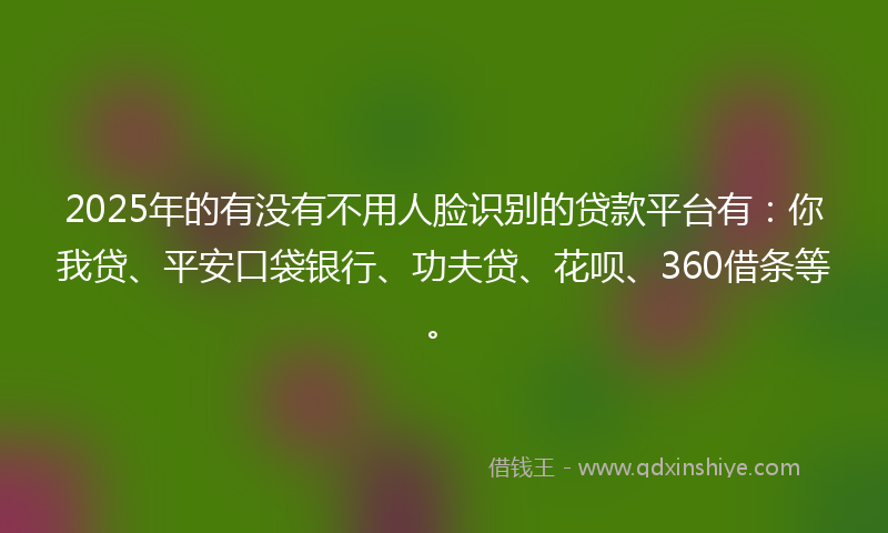 2025年的有没有不用人脸识别的贷款平台有：你我贷、平安口袋银行、功夫贷、花呗、360借条等。