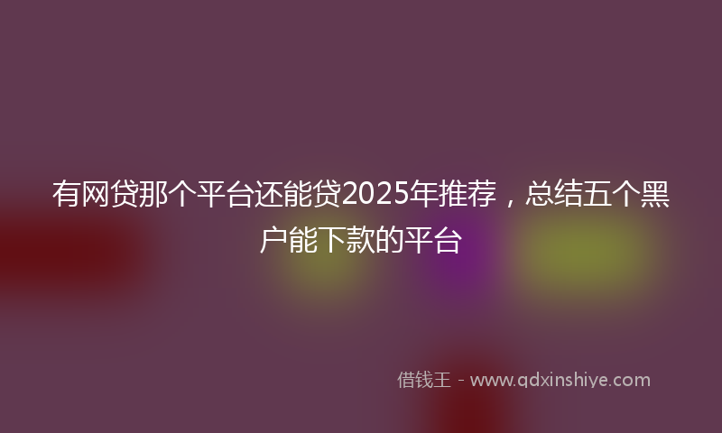 有网贷那个平台还能贷2025年推荐，总结五个黑户能下款的平台