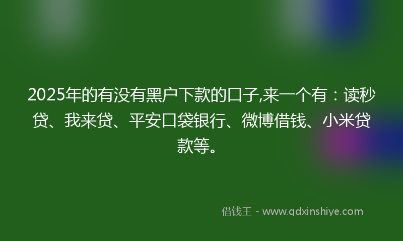 2025年的有没有黑户下款的口子,来一个有：读秒贷、我来贷、平安口袋银行、微博借钱、小米贷款等。