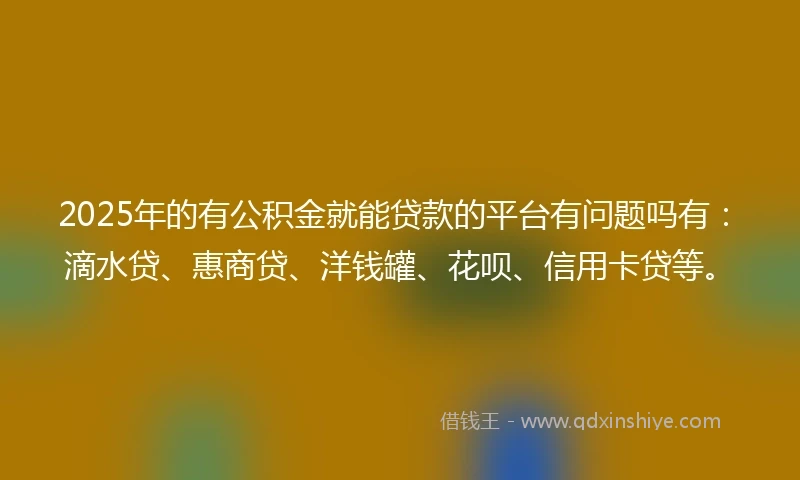 2025年的有公积金就能贷款的平台有问题吗有：滴水贷、惠商贷、洋钱罐、花呗、信用卡贷等。