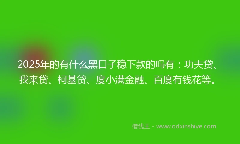 2025年的有什么黑口子稳下款的吗有：功夫贷、我来贷、柯基贷、度小满金融、百度有钱花等。