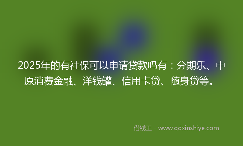 2025年的有社保可以申请贷款吗有：分期乐、中原消费金融、洋钱罐、信用卡贷、随身贷等。
