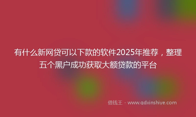 有什么新网贷可以下款的软件2025年推荐，整理五个黑户成功获取大额贷款的平台