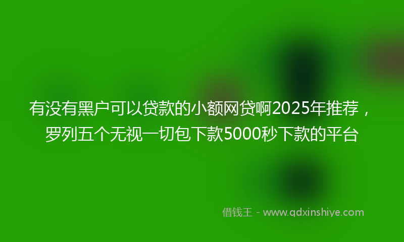 有没有黑户可以贷款的小额网贷啊2025年推荐，罗列五个无视一切包下款5000秒下款的平台