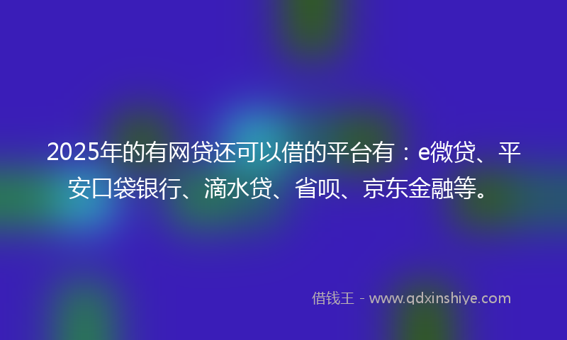2025年的有网贷还可以借的平台有：e微贷、平安口袋银行、滴水贷、省呗、京东金融等。