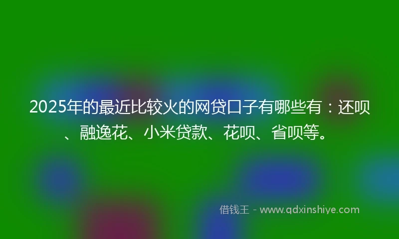 2025年的最近比较火的网贷口子有哪些有：还呗、融逸花、小米贷款、花呗、省呗等。