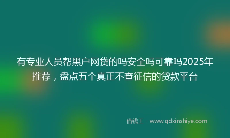 有专业人员帮黑户网贷的吗安全吗可靠吗2025年推荐，盘点五个真正不查征信的贷款平台