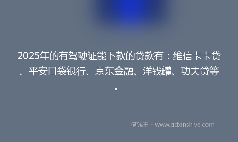 2025年的有驾驶证能下款的贷款有：维信卡卡贷、平安口袋银行、京东金融、洋钱罐、功夫贷等。