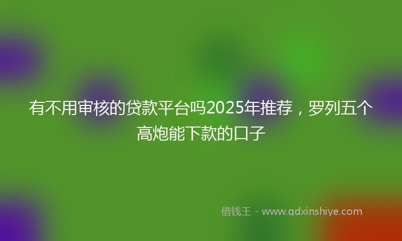 有不用审核的贷款平台吗2025年推荐，罗列五个高炮能下款的口子