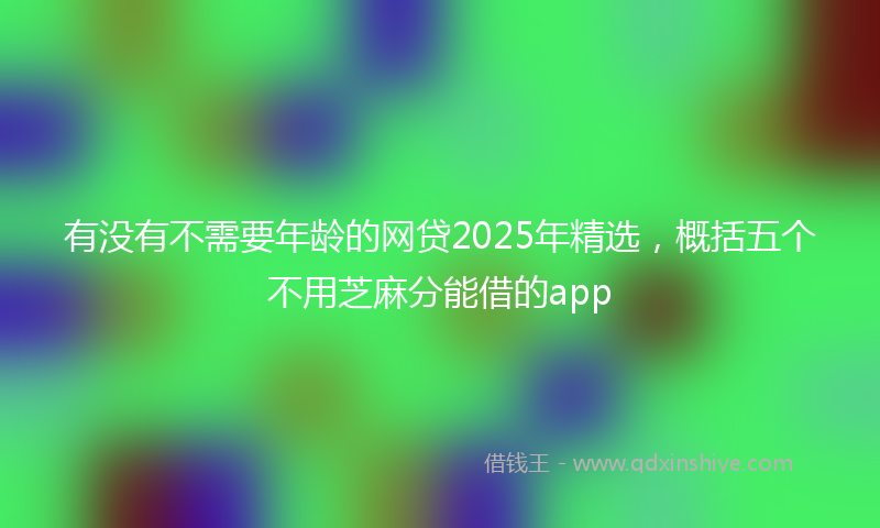 有没有不需要年龄的网贷2025年精选，概括五个不用芝麻分能借的app