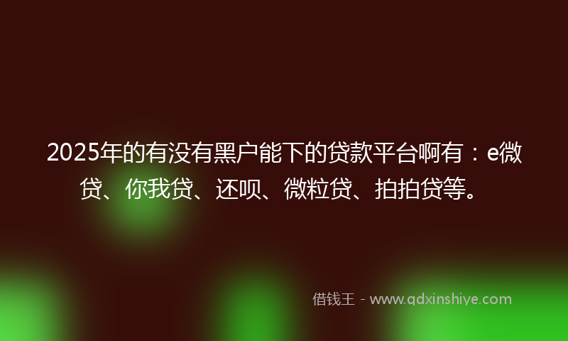 2025年的有没有黑户能下的贷款平台啊有：e微贷、你我贷、还呗、微粒贷、拍拍贷等。
