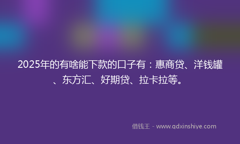 2025年的有啥能下款的口子有：惠商贷、洋钱罐、东方汇、好期贷、拉卡拉等。