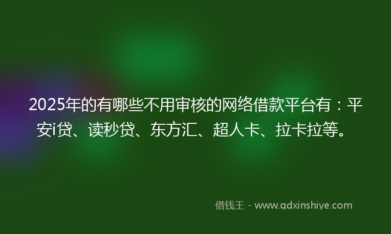 2025年的有哪些不用审核的网络借款平台有：平安i贷、读秒贷、东方汇、超人卡、拉卡拉等。