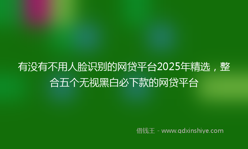 有没有不用人脸识别的网贷平台2025年精选，整合五个无视黑白必下款的网贷平台
