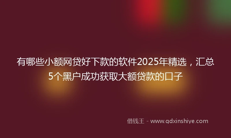 有哪些小额网贷好下款的软件2025年精选，汇总5个黑户成功获取大额贷款的口子