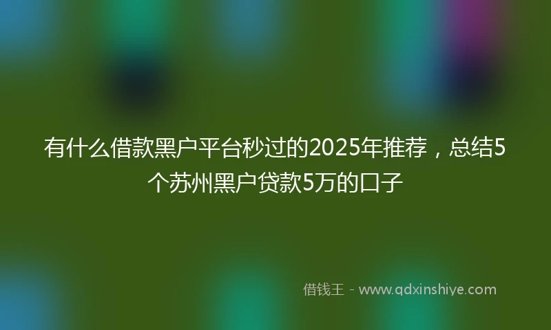 有什么借款黑户平台秒过的2025年推荐，总结5个苏州黑户贷款5万的口子