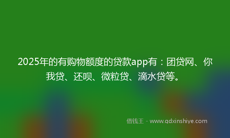 2025年的有购物额度的贷款app有：团贷网、你我贷、还呗、微粒贷、滴水贷等。