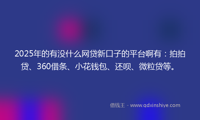 2025年的有没什么网贷新口子的平台啊有：拍拍贷、360借条、小花钱包、还呗、微粒贷等。