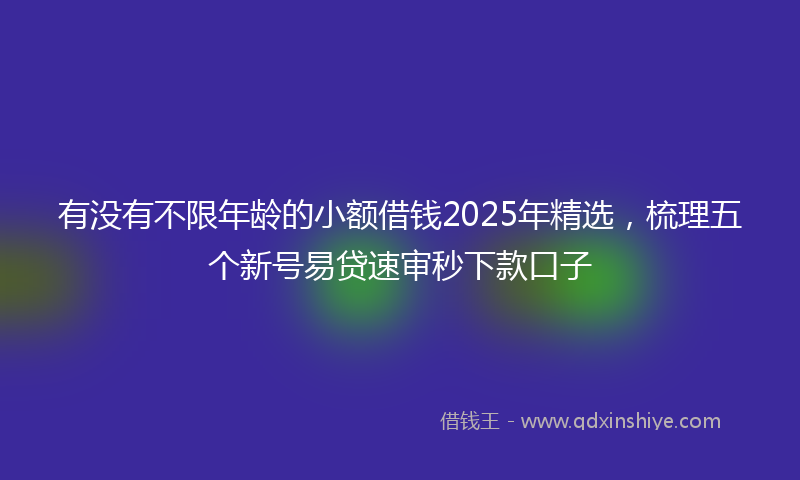 有没有不限年龄的小额借钱2025年精选，梳理五个新号易贷速审秒下款口子