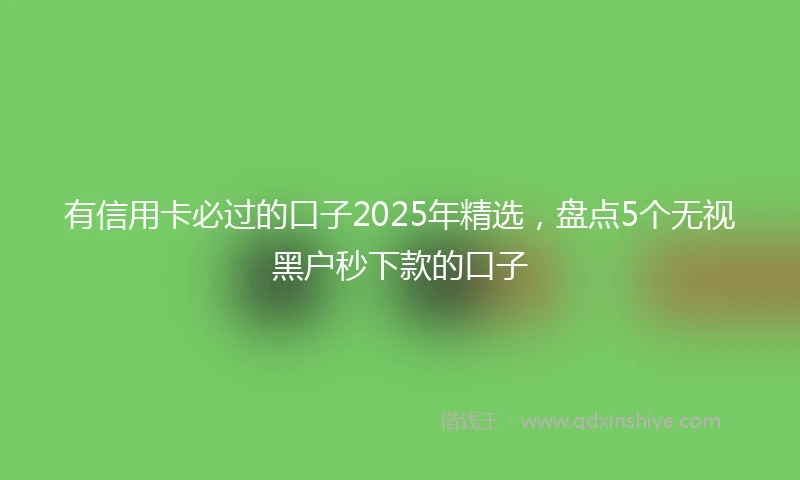 有信用卡必过的口子2025年精选，盘点5个无视黑户秒下款的口子