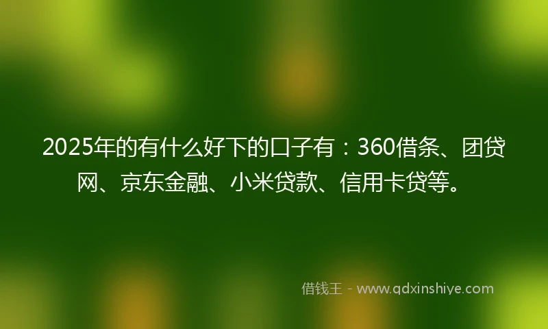 2025年的有什么好下的口子有：360借条、团贷网、京东金融、小米贷款、信用卡贷等。
