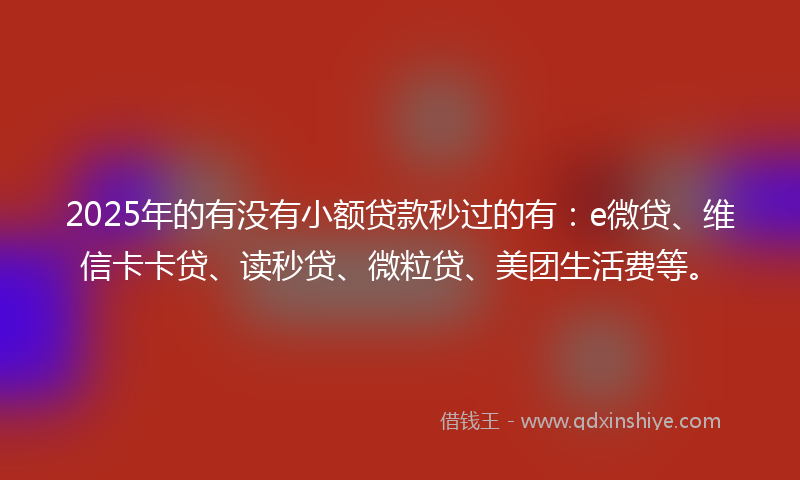 2025年的有没有小额贷款秒过的有：e微贷、维信卡卡贷、读秒贷、微粒贷、美团生活费等。