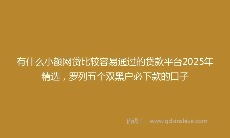 有什么小额网贷比较容易通过的贷款平台2025年精选，罗列五个双黑户必下款的口子