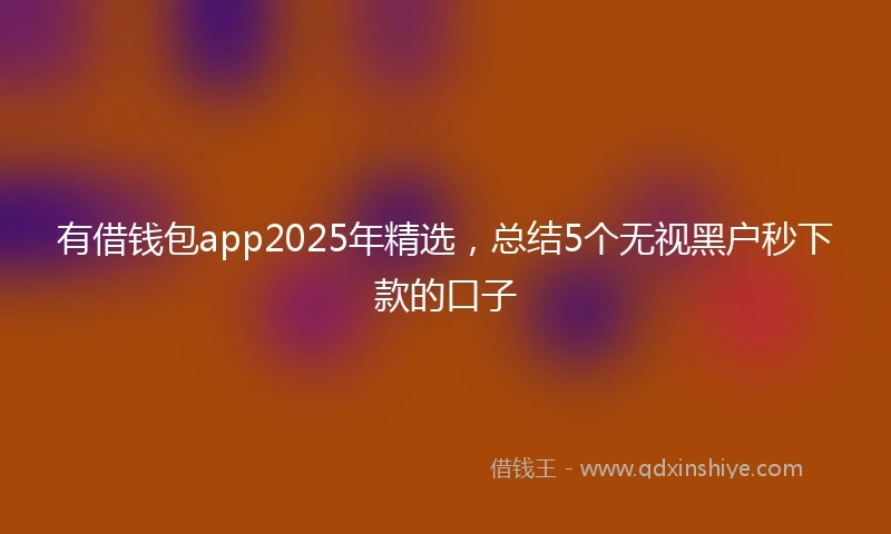 有借钱包app2025年精选，总结5个无视黑户秒下款的口子