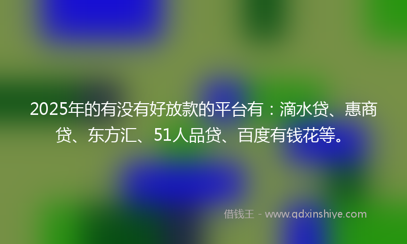 2025年的有没有好放款的平台有：滴水贷、惠商贷、东方汇、51人品贷、百度有钱花等。