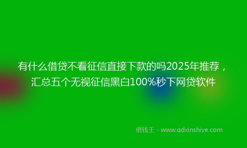 有什么借贷不看征信直接下款的吗2025年推荐，汇总五个无视征信黑白100%秒下网贷软件