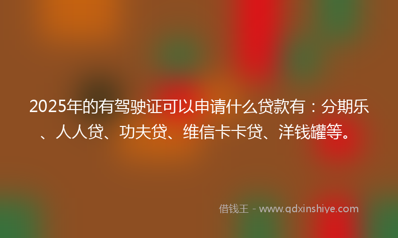 2025年的有驾驶证可以申请什么贷款有：分期乐、人人贷、功夫贷、维信卡卡贷、洋钱罐等。