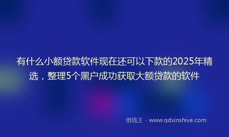 有什么小额贷款软件现在还可以下款的2025年精选，整理5个黑户成功获取大额贷款的软件