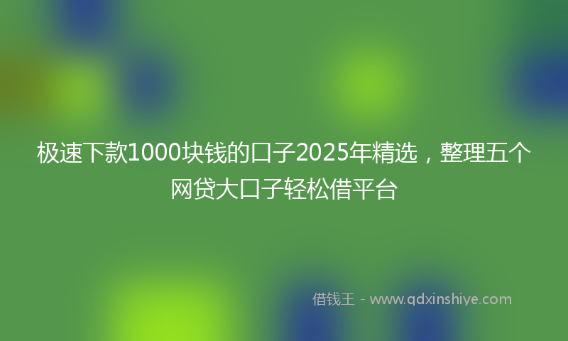极速下款1000块钱的口子2025年精选，整理五个网贷大口子轻松借平台