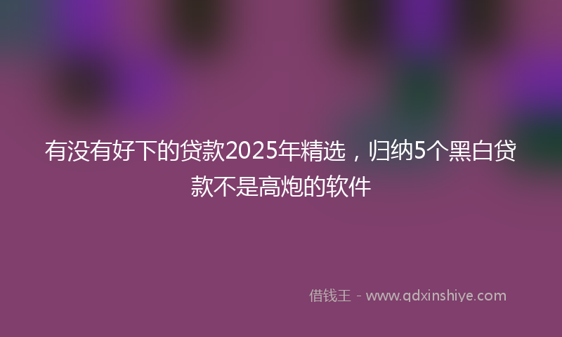 有没有好下的贷款2025年精选，归纳5个黑白贷款不是高炮的软件