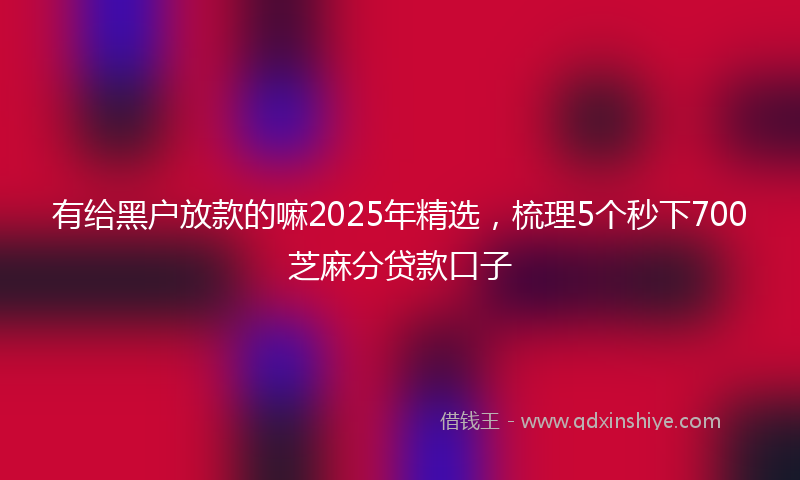 有给黑户放款的嘛2025年精选，梳理5个秒下700芝麻分贷款口子