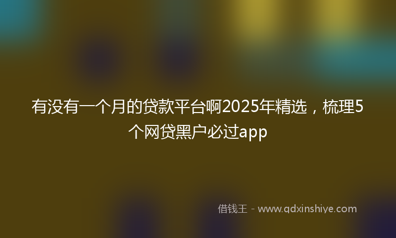 有没有一个月的贷款平台啊2025年精选，梳理5个网贷黑户必过app