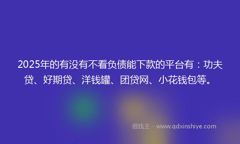 2025年的有没有不看负债能下款的平台有：功夫贷、好期贷、洋钱罐、团贷网、小花钱包等。